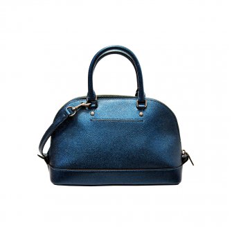 Coach手挽/斜背袋